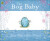 The Bog Baby - Willis Jeanne