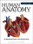 Human Anatomy - de Burgh Jane