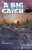 A Big Catch - Alison Hawes