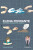 Elena Ferrante - Fabiane Secches,Talita Hoffmann