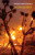 High Desert - Andre Naffis-Sahely