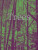 Trees - Stefano Mancuso,Bruce Albert,Francis Halle