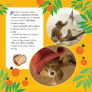 Paddington v džungli - filmový příběh 1
