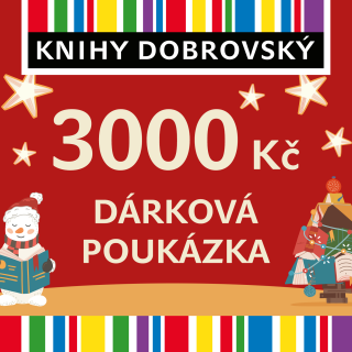 Vánoční elektronická dárková poukázka 3000 Kč - 