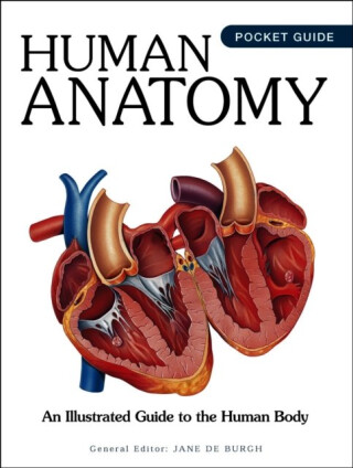 Human Anatomy - de Burgh Jane