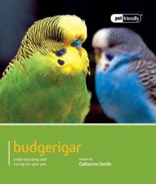 Budgeriegars - Pet Friendly - Catherine Smith