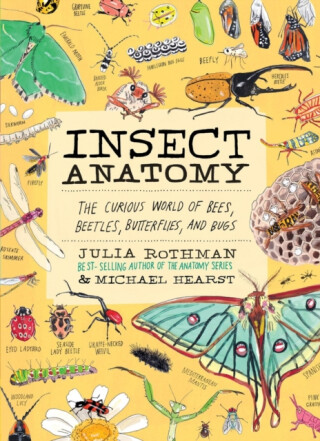 Insect Anatomy - Julia Rothman,Michael Hearst