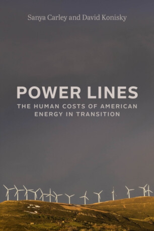Power Lines - David Konisky,Sanya Carley