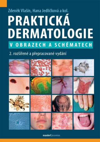 Praktická dermatologie v obrazech a schématech - Hana Jedličková,Vlašín Zdeněk