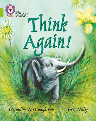 Think Again! - Geraldine McCaughrean,Bee Willey