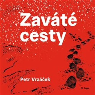 Zaváté cesty - Petr Vrzáček,Dana Ledl